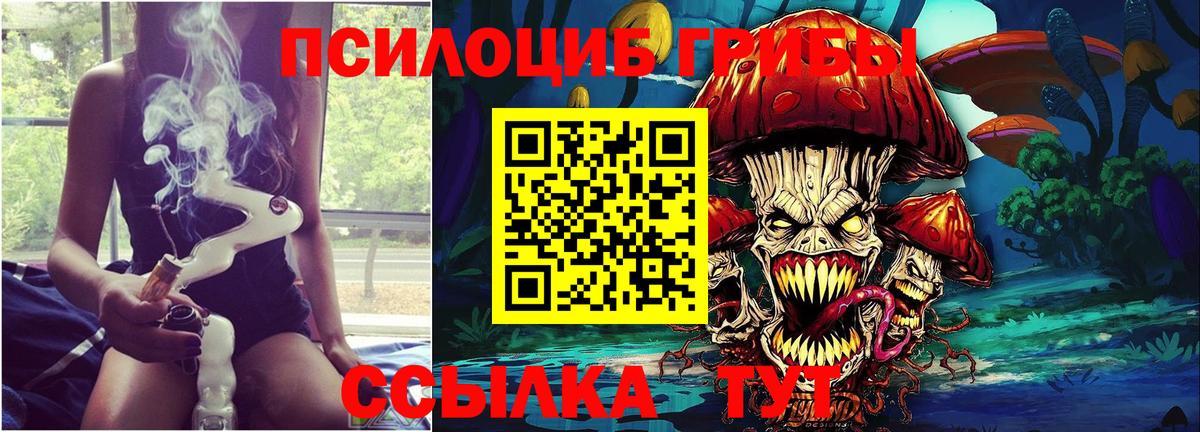 Пенза  Галлюциногенные грибы Cubensis  цена   Вход с VPN 